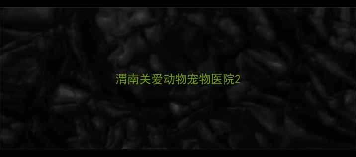 图片 渭南关爱动物宠物医院2