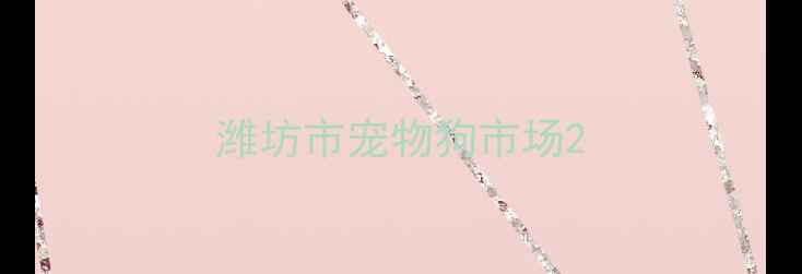 图片 潍坊市宠物狗市场2