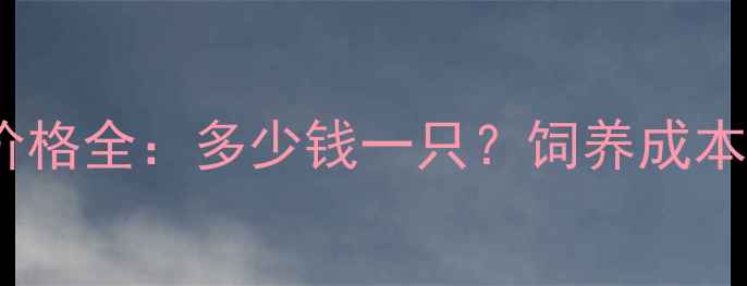 图片 灰色泰迪犬价格全：多少钱一只？饲养成本及选购指南2