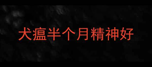 图片 犬瘟半个月精神好