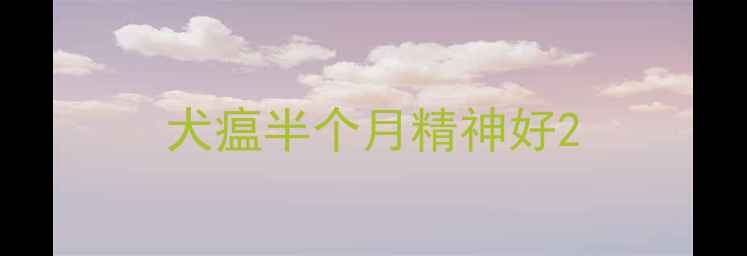 图片 犬瘟半个月精神好2