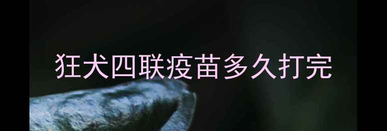 图片 狂犬四联疫苗多久打完