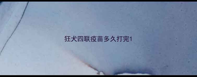 图片 狂犬四联疫苗多久打完1