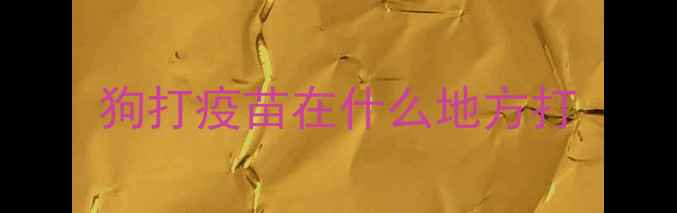 图片 狗打疫苗在什么地方打