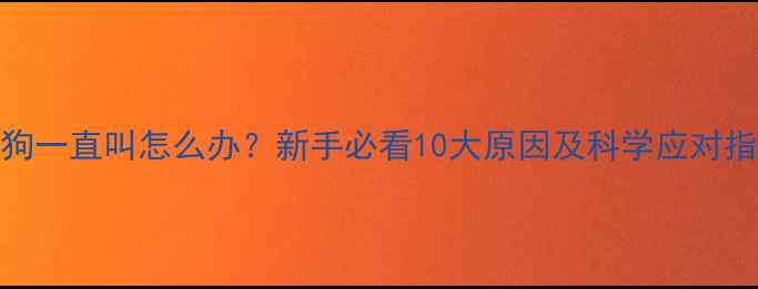 图片 狗狗一直叫怎么办？新手必看10大原因及科学应对指南