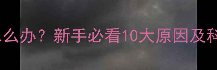 图片 狗狗一直叫怎么办？新手必看10大原因及科学应对指南1