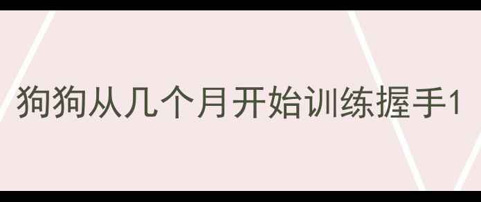 图片 狗狗从几个月开始训练握手1