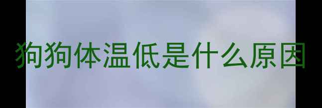 图片 狗狗体温低是什么原因