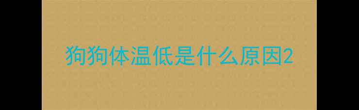 图片 狗狗体温低是什么原因2
