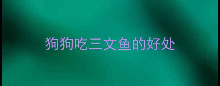 图片 狗狗吃三文鱼的好处
