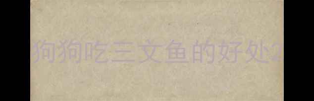 图片 狗狗吃三文鱼的好处2