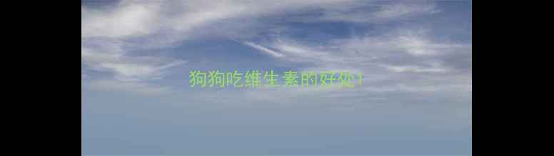 图片 狗狗吃维生素的好处1