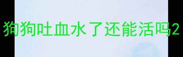 图片 狗狗吐血水了还能活吗2
