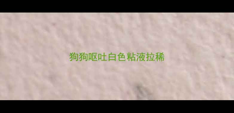图片 狗狗呕吐白色粘液拉稀
