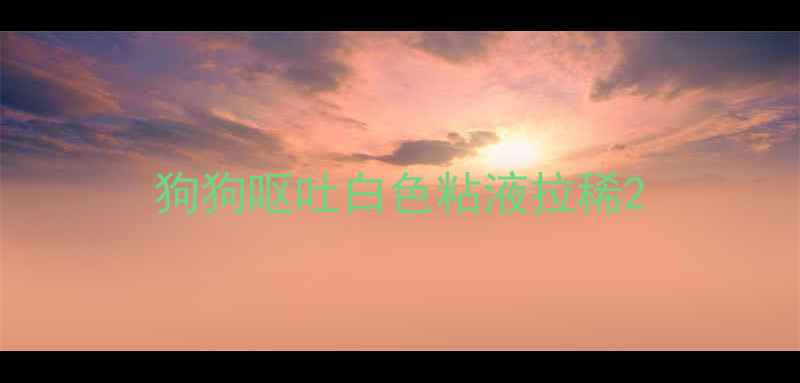 图片 狗狗呕吐白色粘液拉稀2