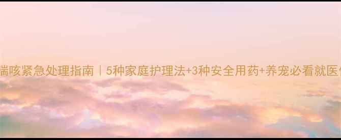图片 狗狗喘咳紧急处理指南｜5种家庭护理法+3种安全用药+养宠必看就医信号2