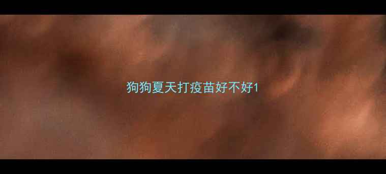 图片 狗狗夏天打疫苗好不好1
