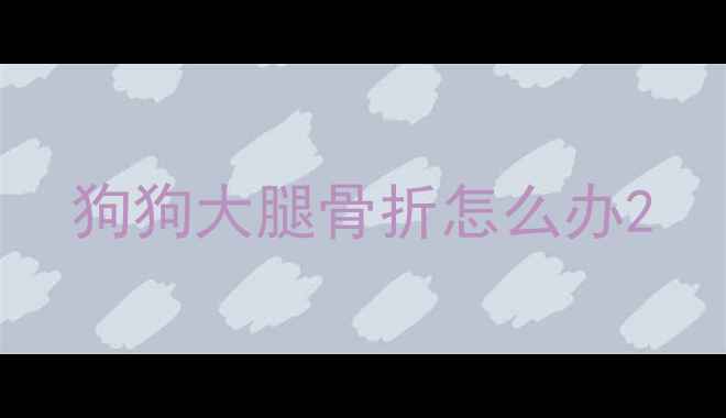 图片 狗狗大腿骨折怎么办2