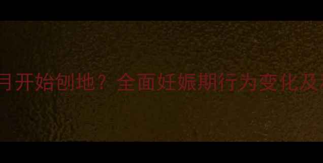 图片 狗狗怀孕两个月开始刨地？全面妊娠期行为变化及科学应对方法2