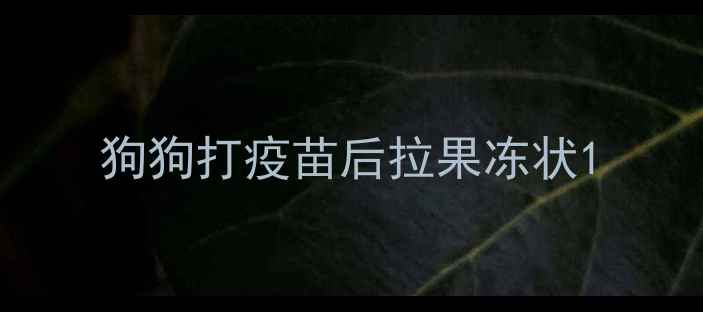 图片 狗狗打疫苗后拉果冻状1