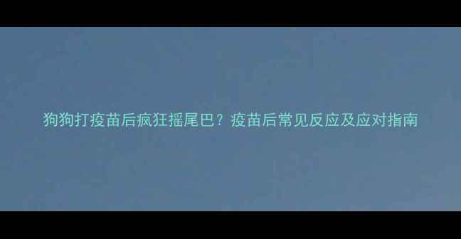 图片 狗狗打疫苗后疯狂摇尾巴？疫苗后常见反应及应对指南