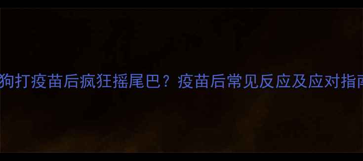 图片 狗狗打疫苗后疯狂摇尾巴？疫苗后常见反应及应对指南1