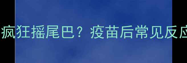 图片 狗狗打疫苗后疯狂摇尾巴？疫苗后常见反应及应对指南2