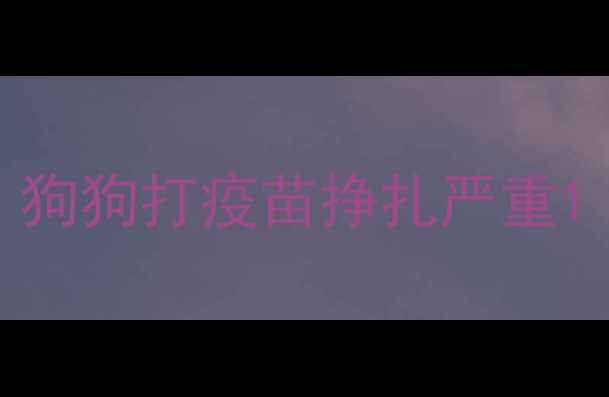 图片 狗狗打疫苗挣扎严重1