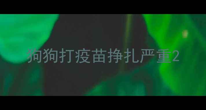 图片 狗狗打疫苗挣扎严重2