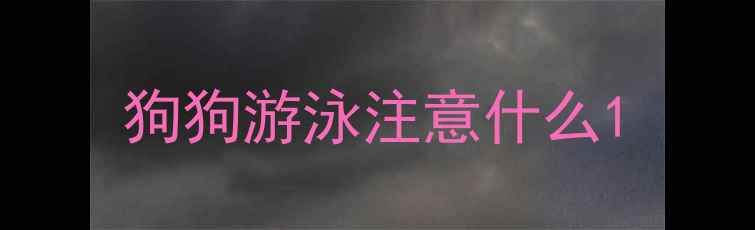图片 狗狗游泳注意什么1