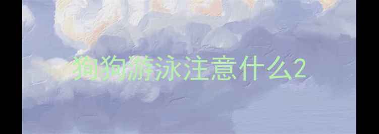 图片 狗狗游泳注意什么2