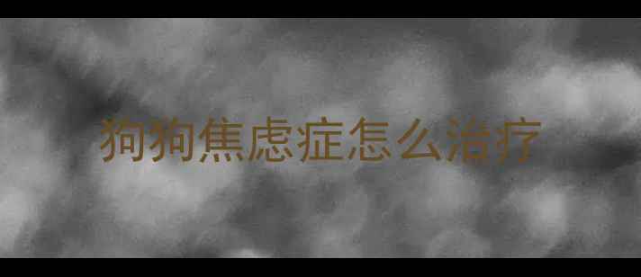 图片 狗狗焦虑症怎么治疗