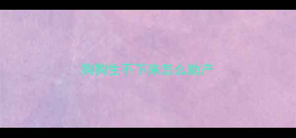 图片 狗狗生不下来怎么助产