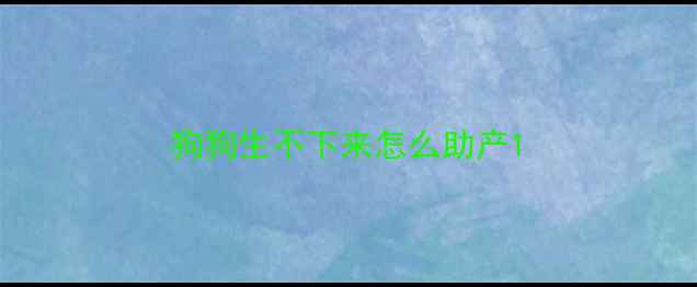 图片 狗狗生不下来怎么助产1