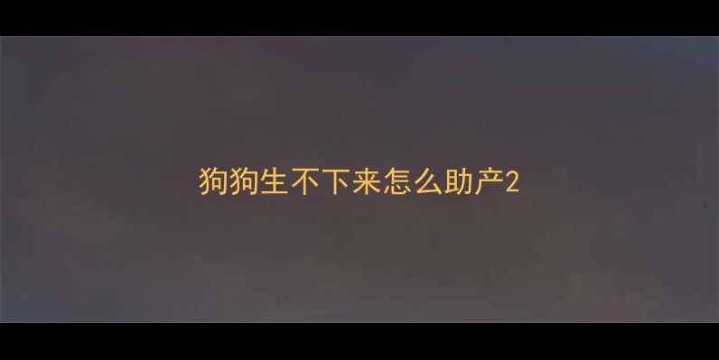 图片 狗狗生不下来怎么助产2