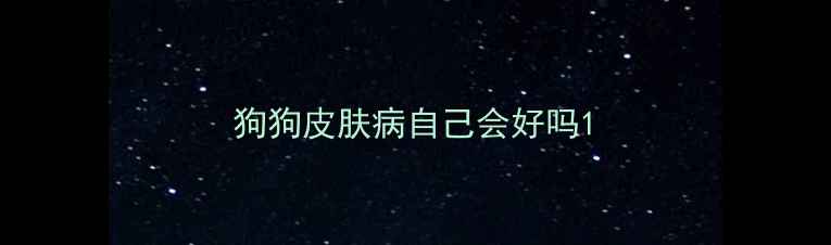 图片 狗狗皮肤病自己会好吗1