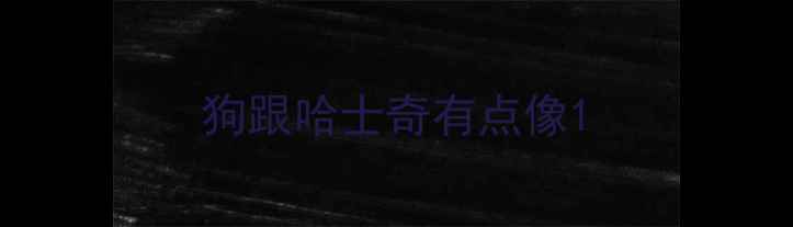 图片 狗跟哈士奇有点像1