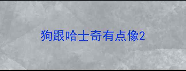 图片 狗跟哈士奇有点像2