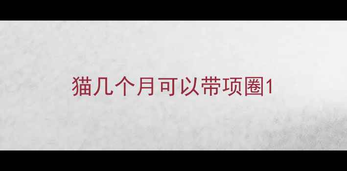 图片 猫几个月可以带项圈1