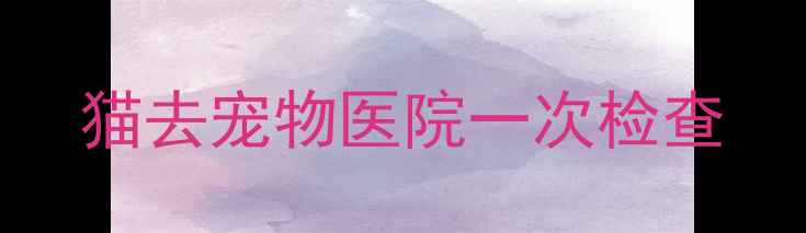 图片 猫去宠物医院一次检查