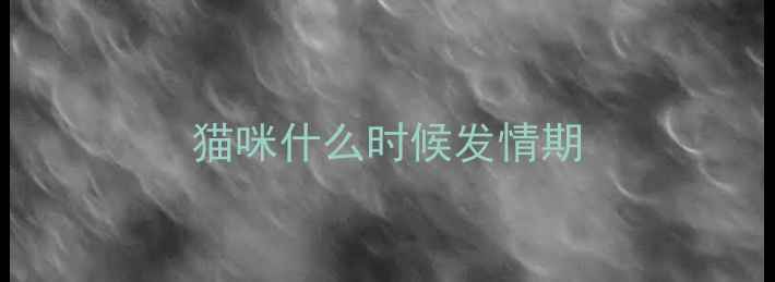 图片 猫咪什么时候发情期