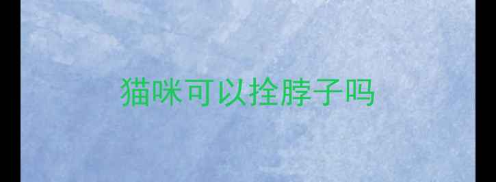 图片 猫咪可以拴脖子吗
