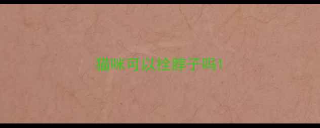 图片 猫咪可以拴脖子吗1