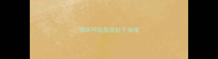 图片 猫咪呼吸急促肚子抽搐