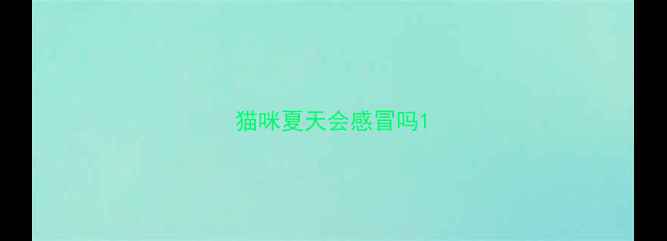 图片 猫咪夏天会感冒吗1