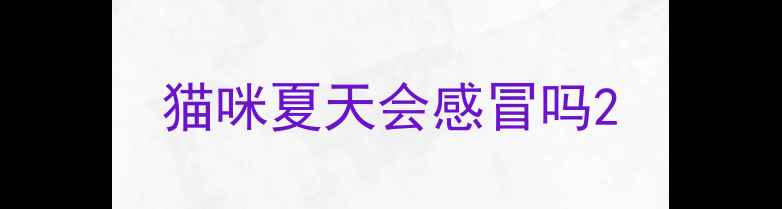 图片 猫咪夏天会感冒吗2