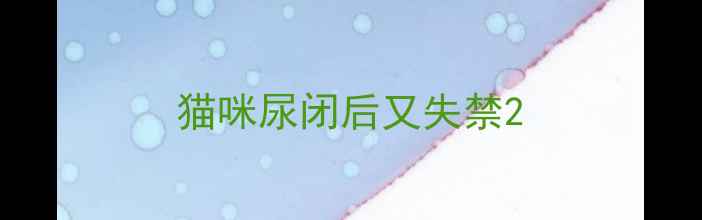 图片 猫咪尿闭后又失禁2