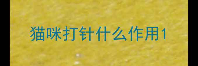 图片 猫咪打针什么作用1
