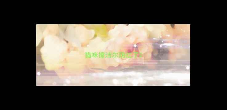图片 猫咪擦洁尔阴红了2