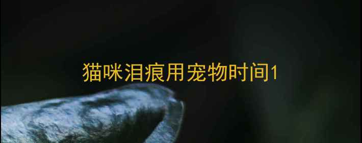 图片 猫咪泪痕用宠物时间1
